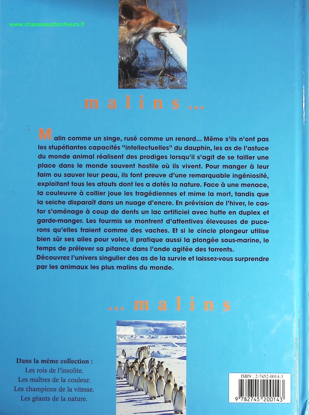 Les As De La Survie - Les Animaux Les Plus Malins - livre