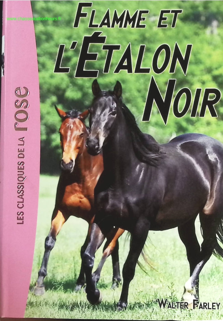 Flamme Et L'étalon Noir - Bibliothèque rose - Walter Farley - livre