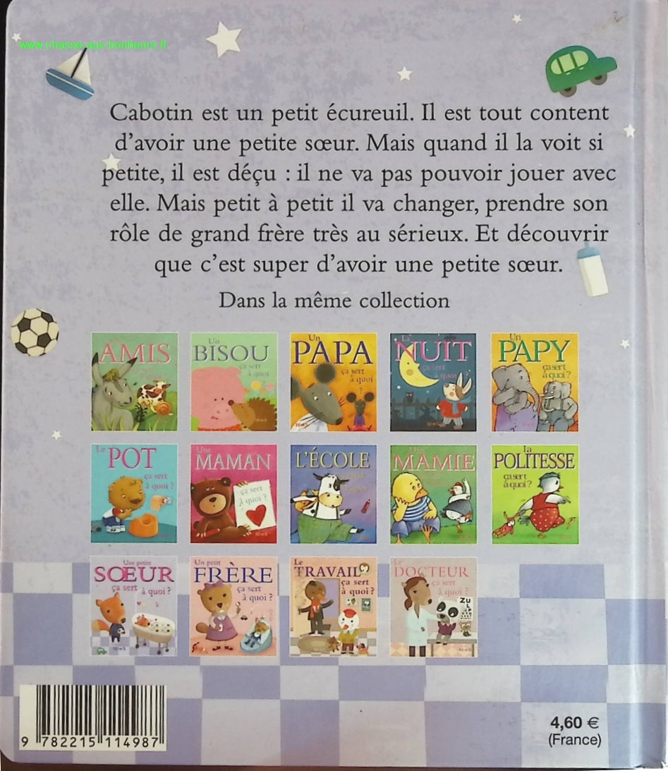 Une Petite Soeur Ça Sert À Quoi ? - Sophie Bellier - livre