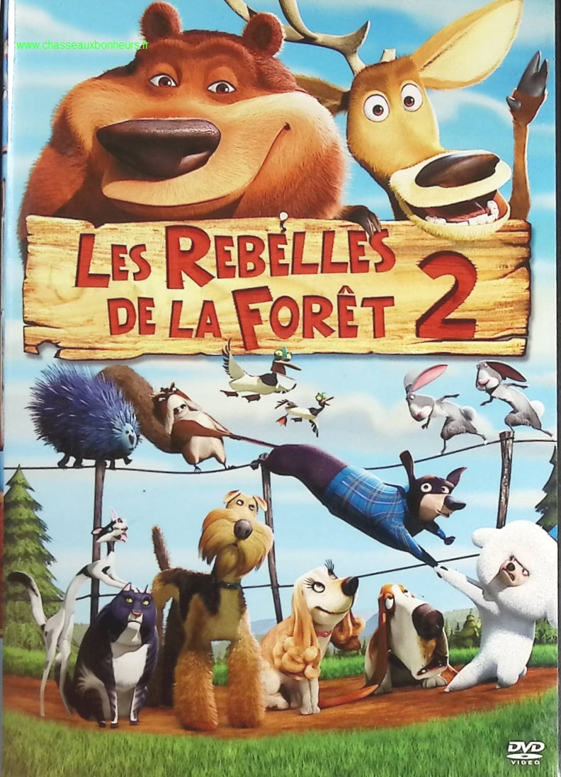 Les Rebelles de la forêt 2 - Matthew O'Callaghan - DVD