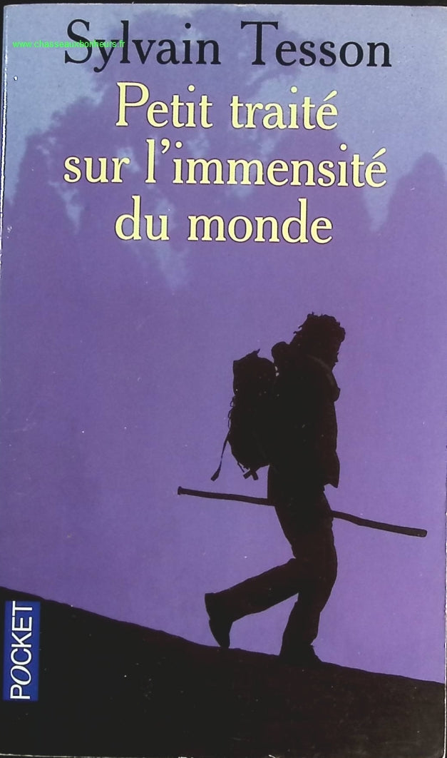 Petit traité sur l'immensité du monde - Sylvain Tesson - livre