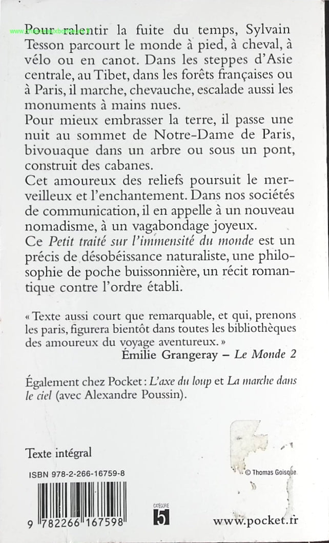 Petit traité sur l'immensité du monde - Sylvain Tesson - livre