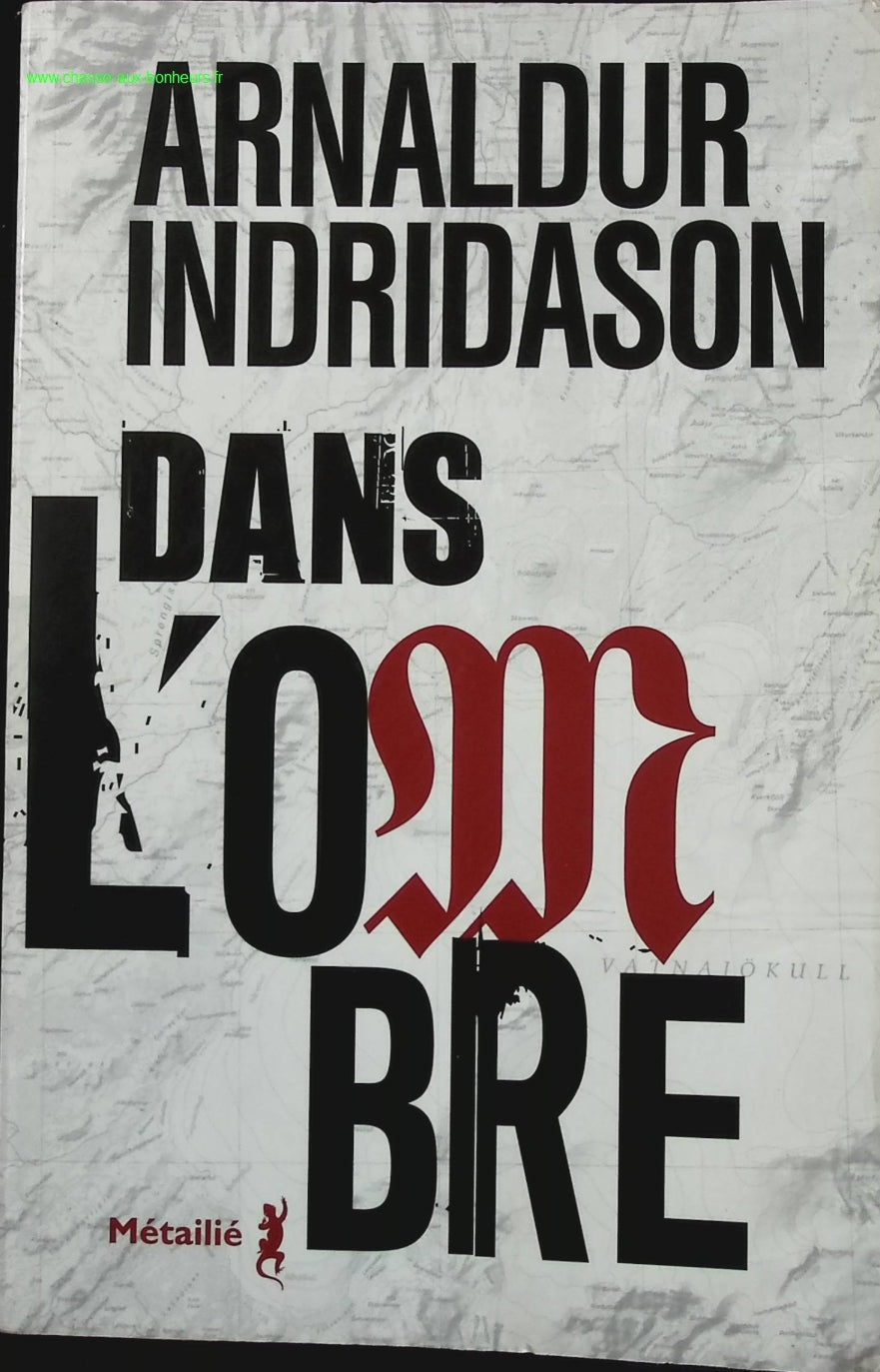 Dans l'Ombre - Arnaldur Indridason - livre