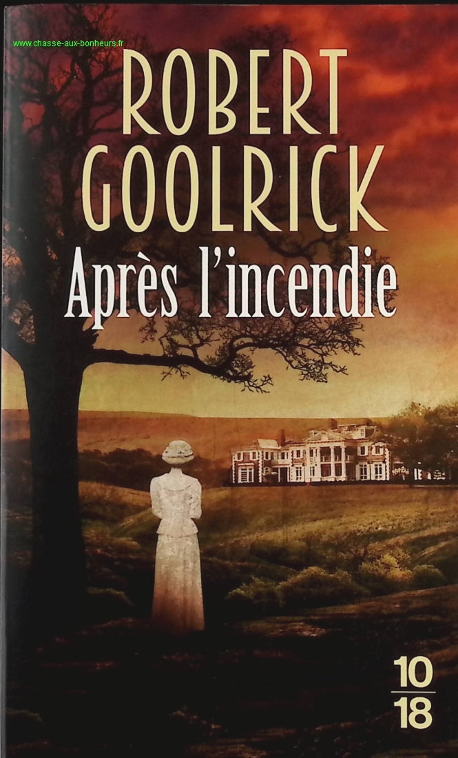 Après l'incendie - Robert Goolrick - livre