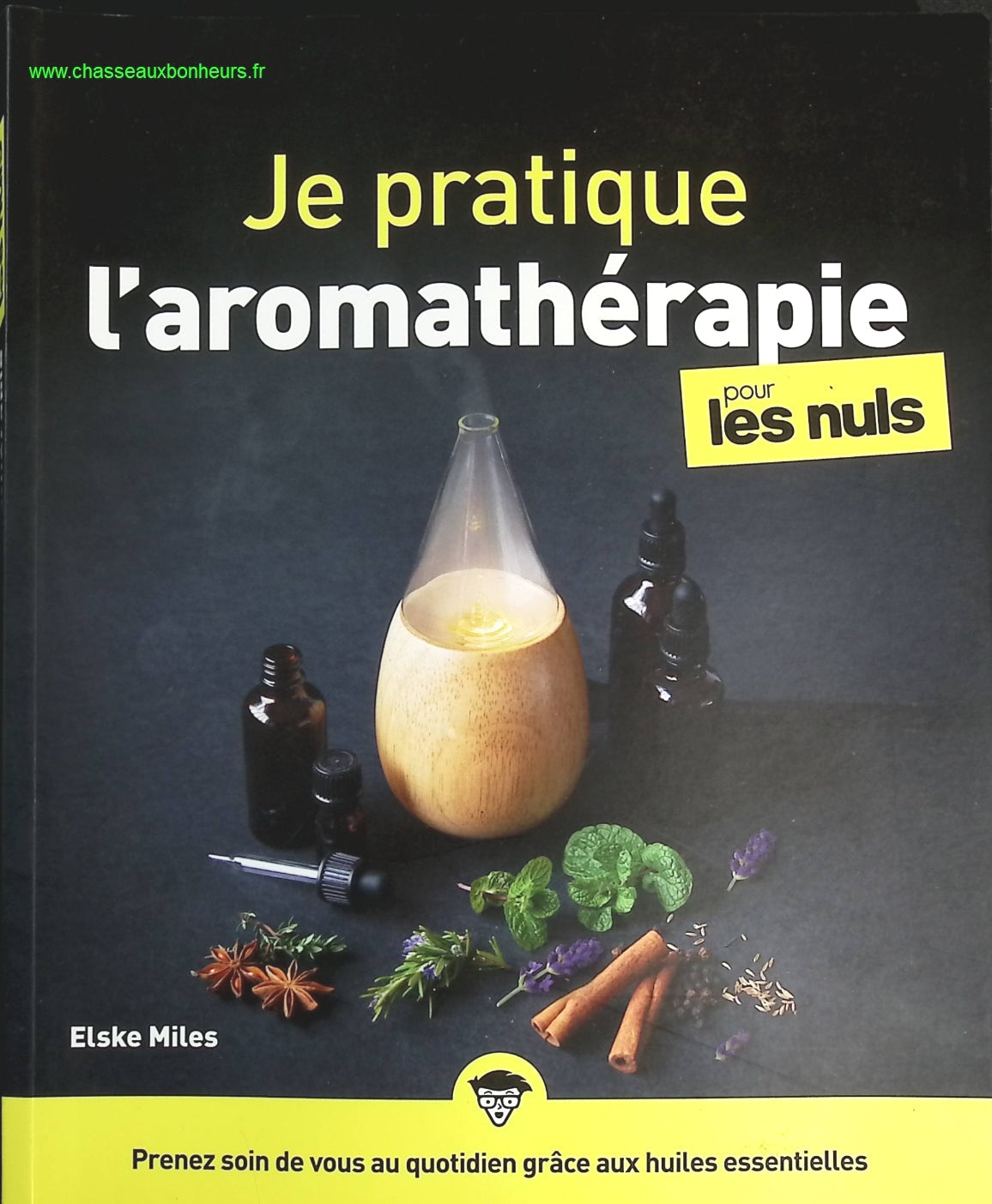 Je pratique l'aromathérapie pour les Nuls - Elske Miles - livre