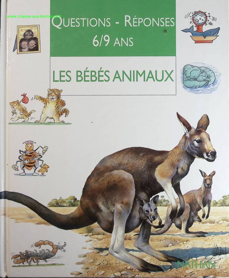 Les bébés animaux - Jenny Wood - livre