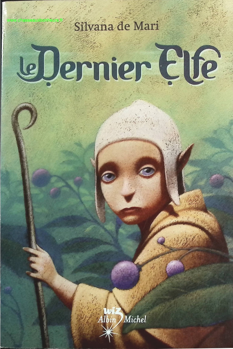 Le Dernier Elfe - Silvana De Mari - livre