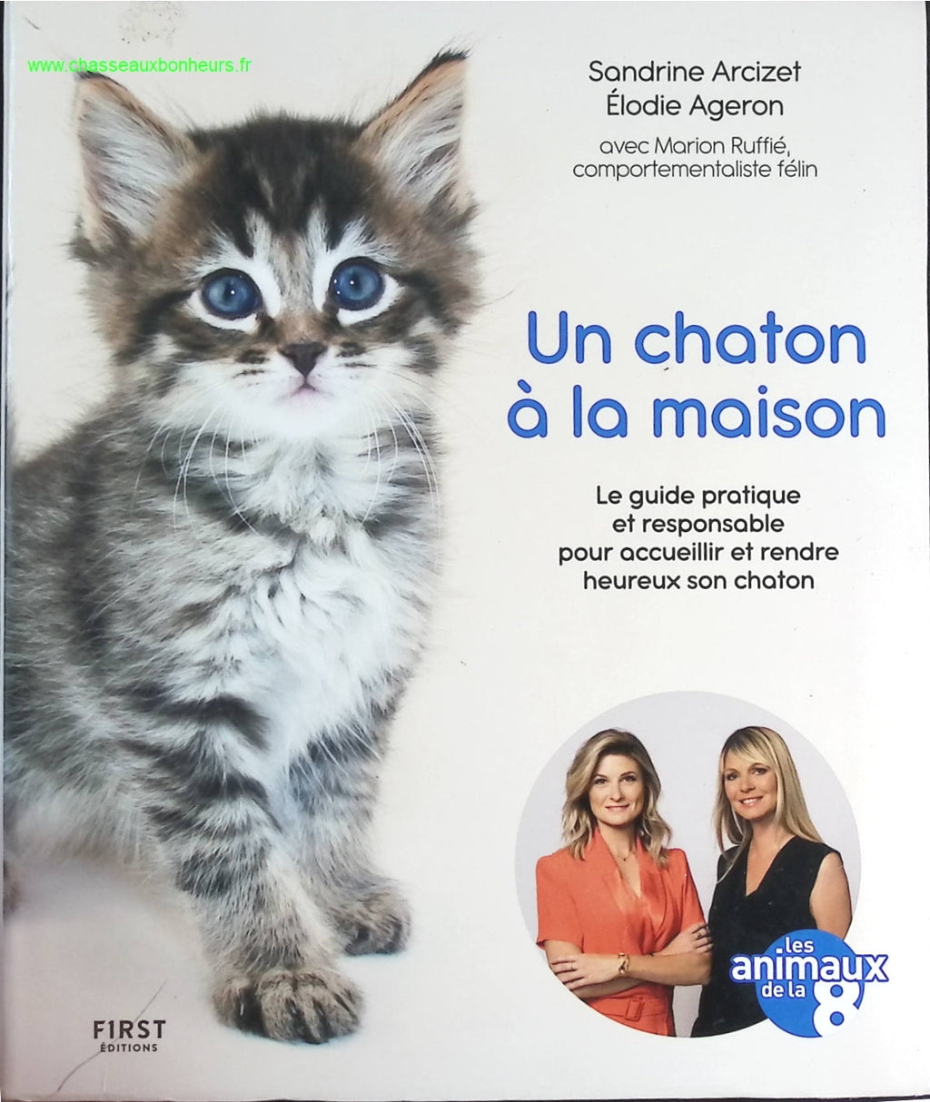 Un chaton à la maison - Sandrine Arcizet - livre