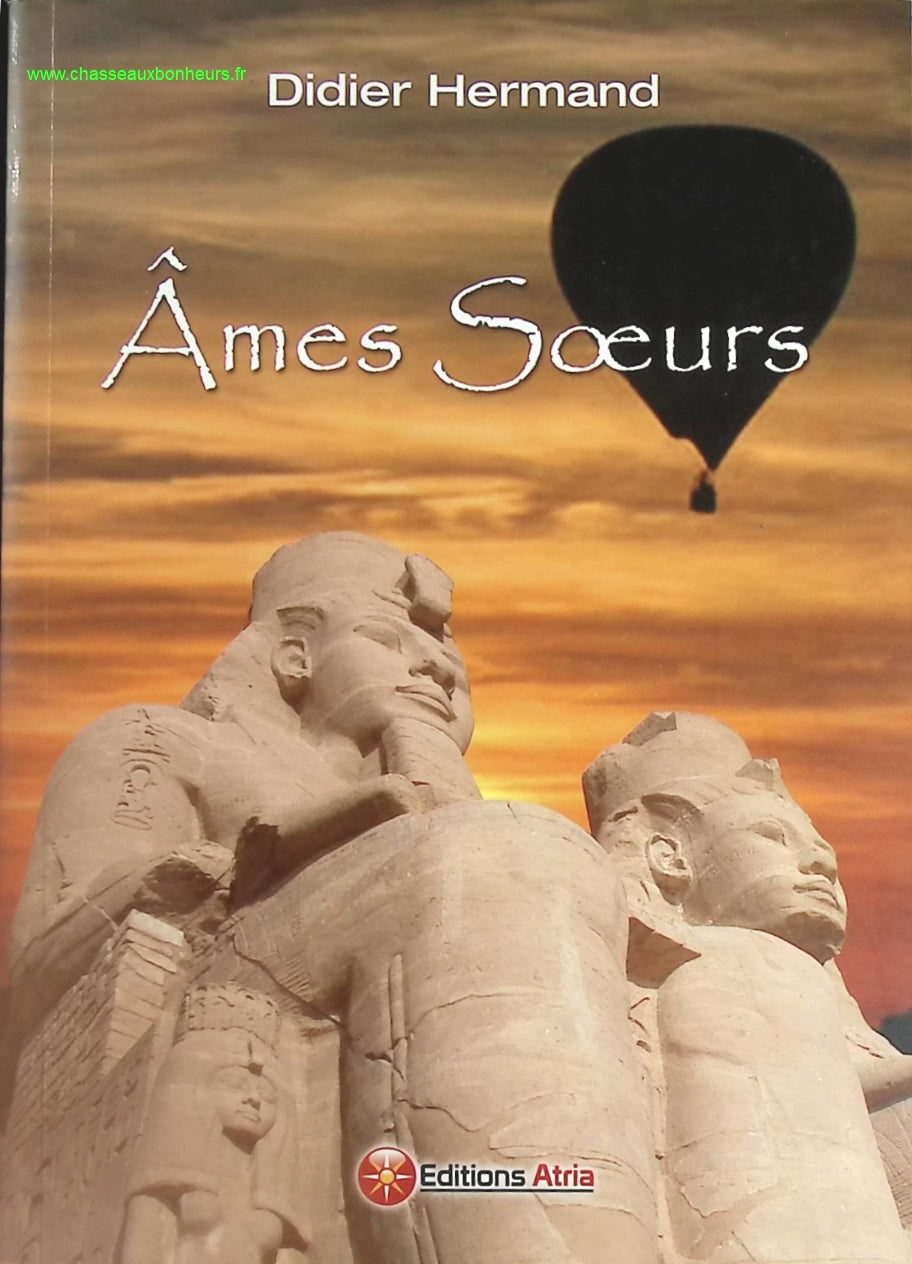 Ames soeurs - Didier Hermand - livre