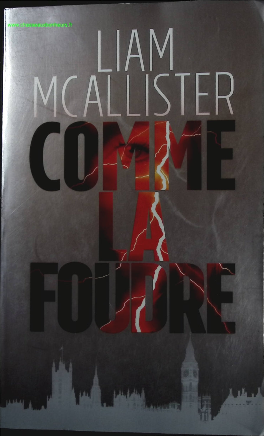 Comme la foudre - Liam McAllister - livre