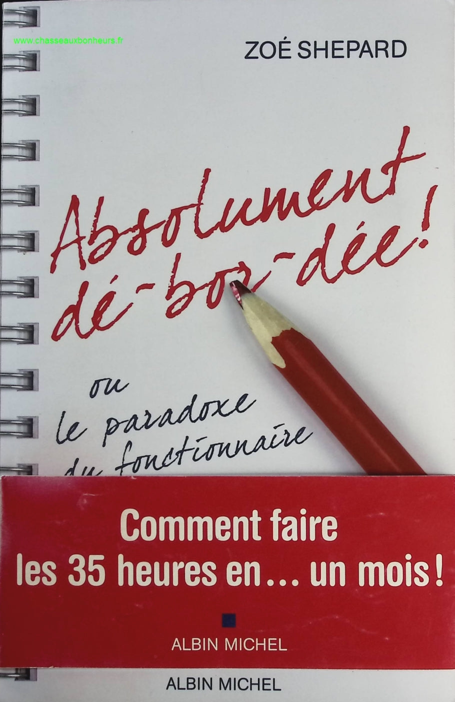 Absolument dé-bor-dée ! Ou le paradoxe du fonctionnaire - Zoé Shepard - livre