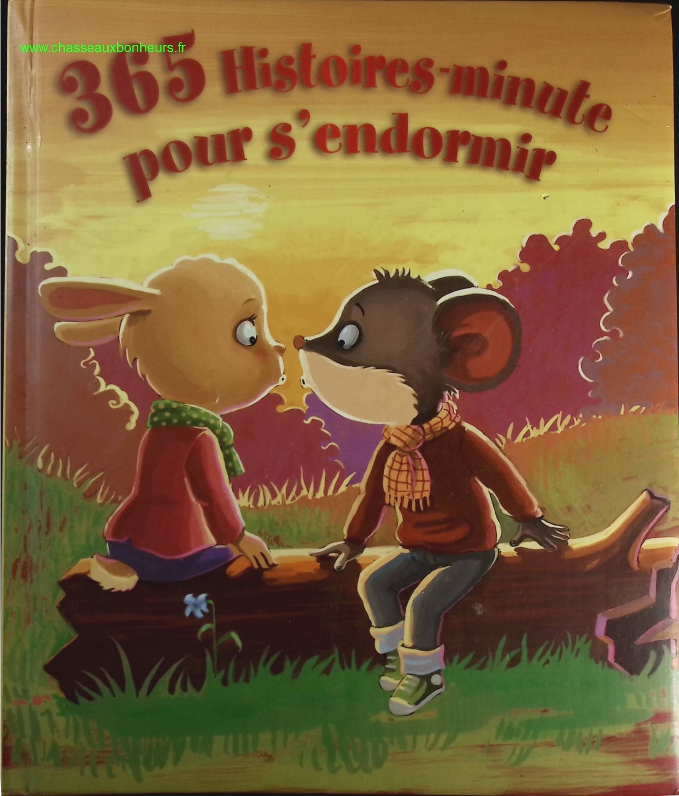 365 Histoires Minutes Pour S'Endormir - YOYO- livre