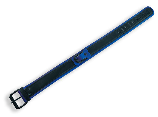 Collier Puppy Collar Noir-Bleu