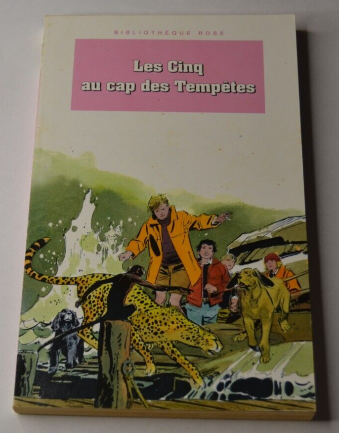 Les cinq au cap des Tempêtes - livre