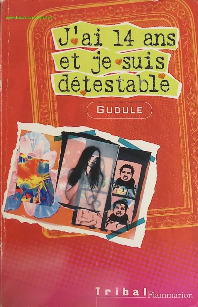 J'ai 14 ans et je suis détestable - Gudule - livre