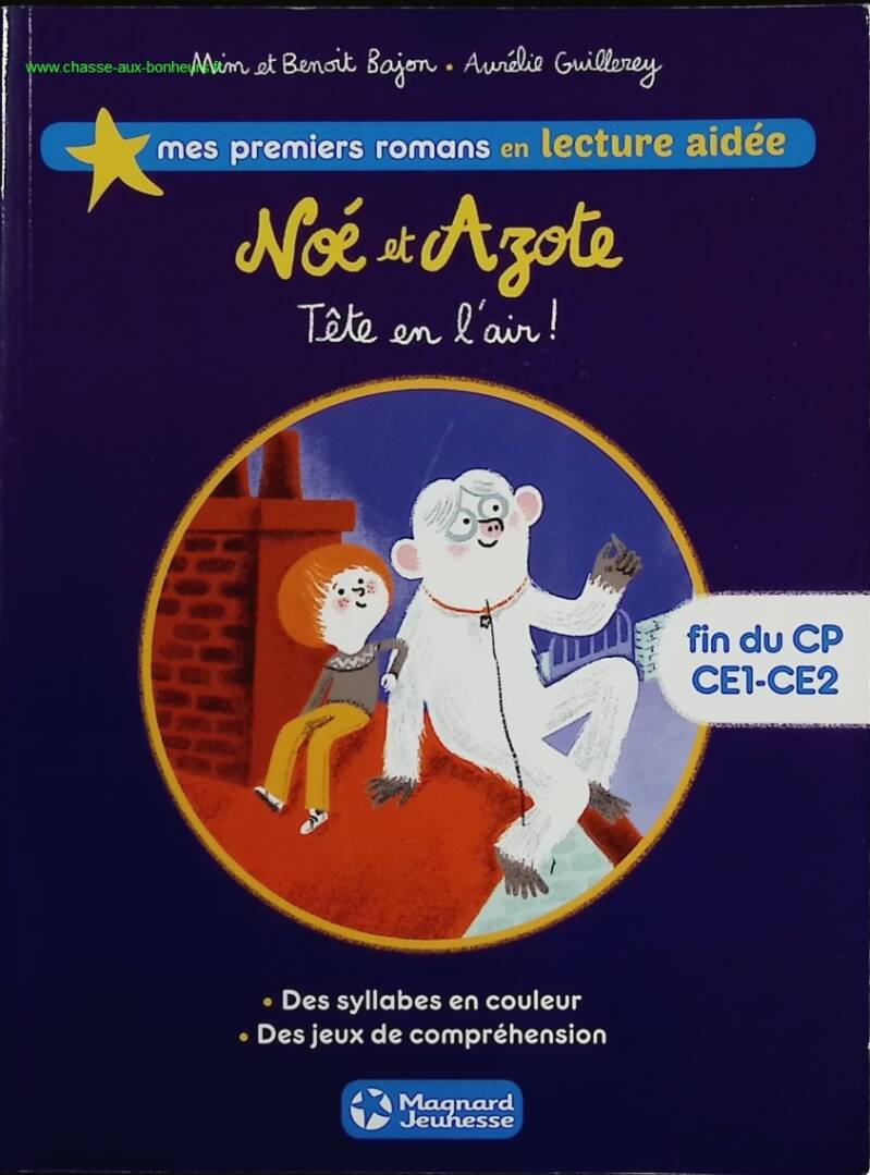 Noé et Azote 4 - Tête en l'air ! Lecture aidée - MIM, Benoît Bajon, Aurélie Guillerey - livre