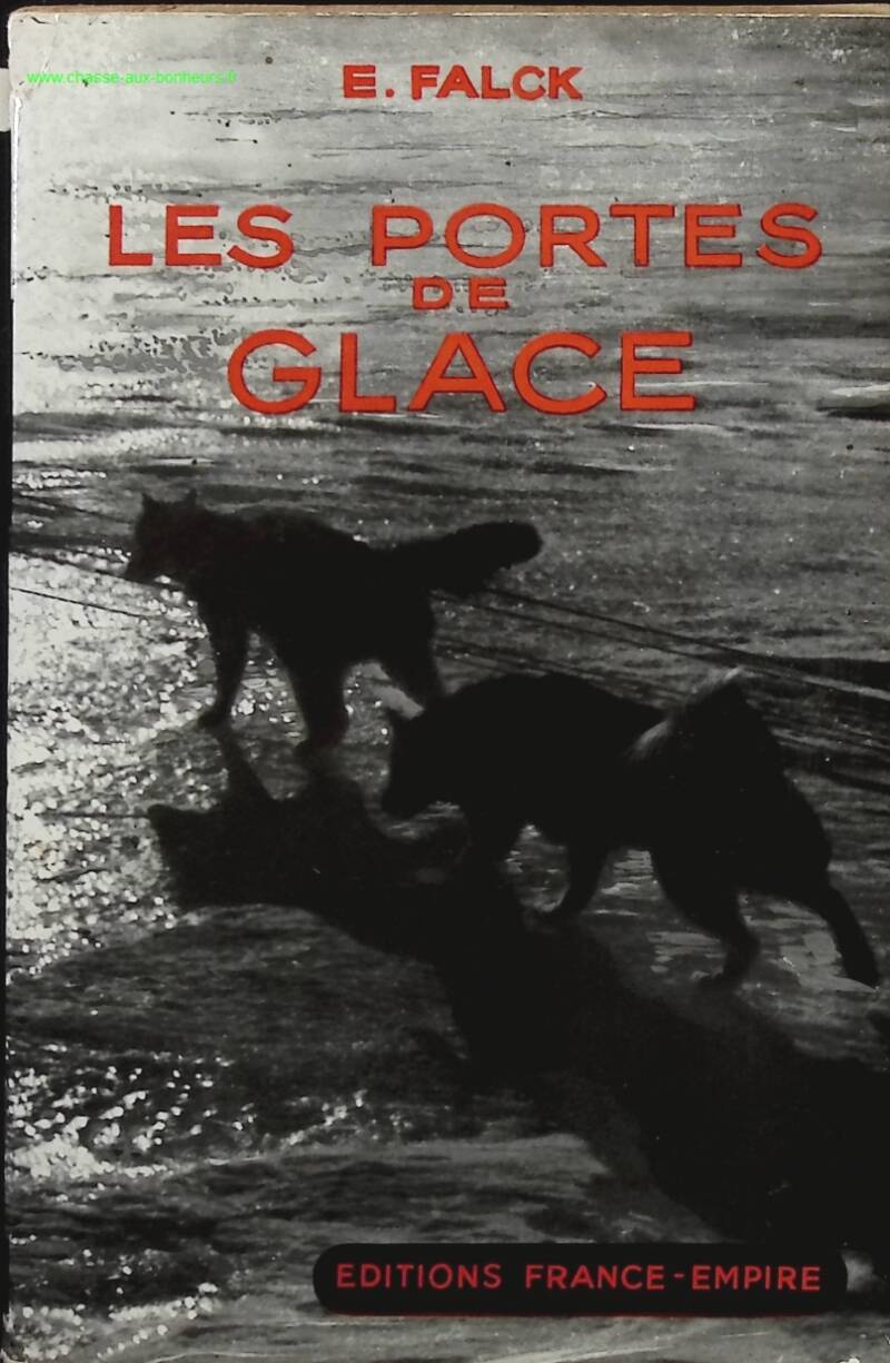 Les portes de glace - Etienne Falck - Livre