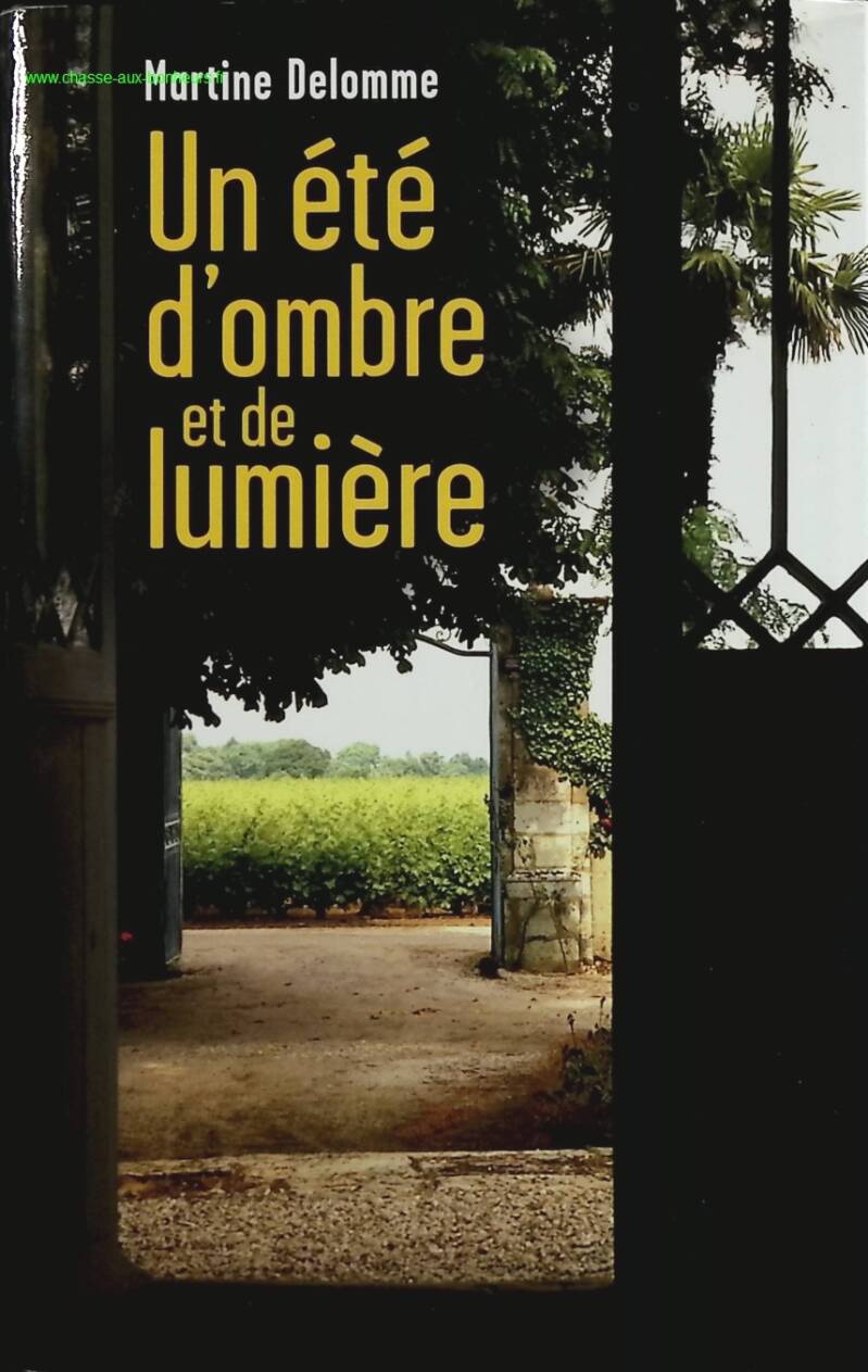 Un été d'ombre et de lumière - Delomme Martine - livre