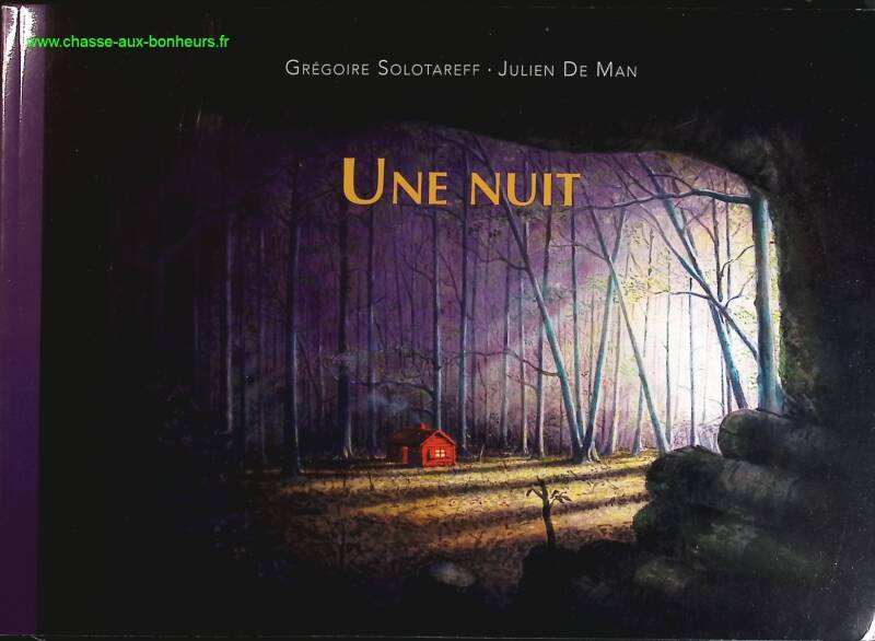 Une nuit - Grégoire Solotareff - livre