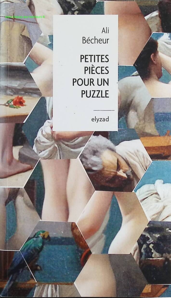 Petites pièces pour un puzzle - Ali Bécheur - livre