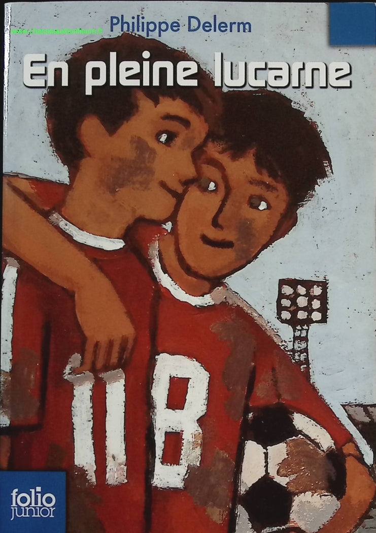 En Pleine Lucarne - Philippe Delerm - livre