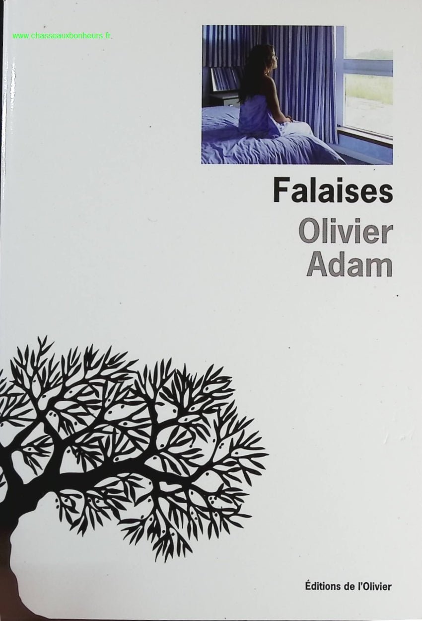 Falaises - Olivier Adam - livre
