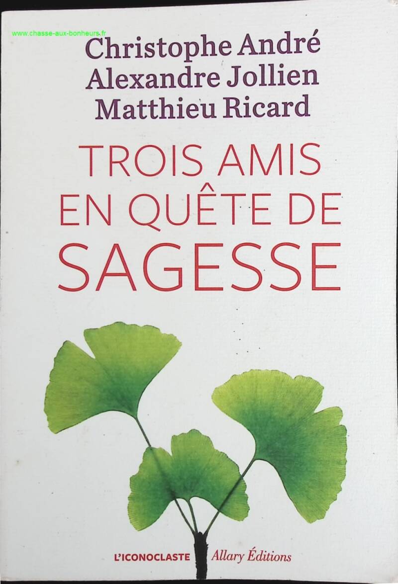 Trois amis en quête de sagesse - Christophe André, Alexandre Jollien, Matthieu Ricard - livre