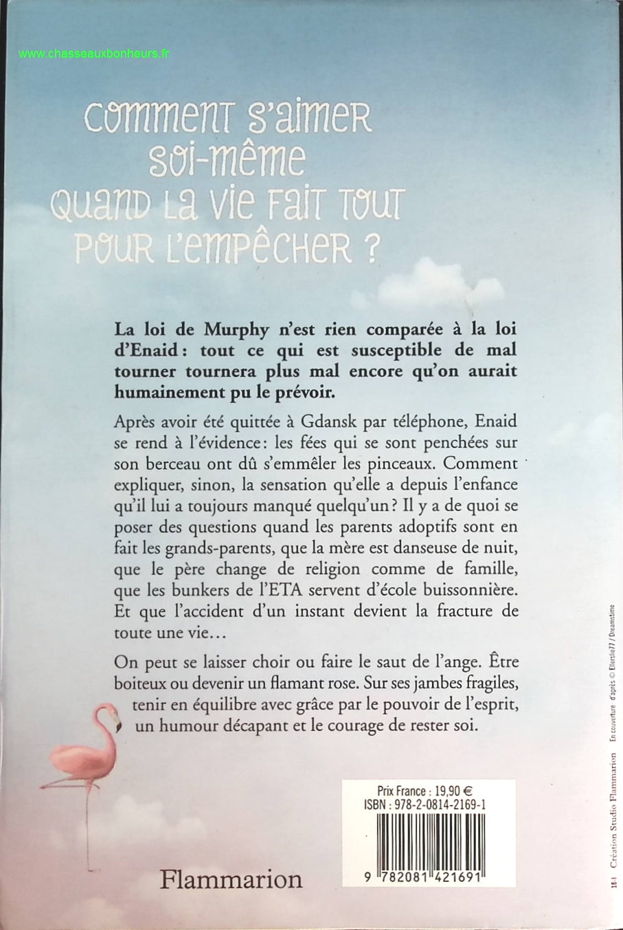 La meilleure façon de marcher est celle du flamant rose - Diane Ducret - livre