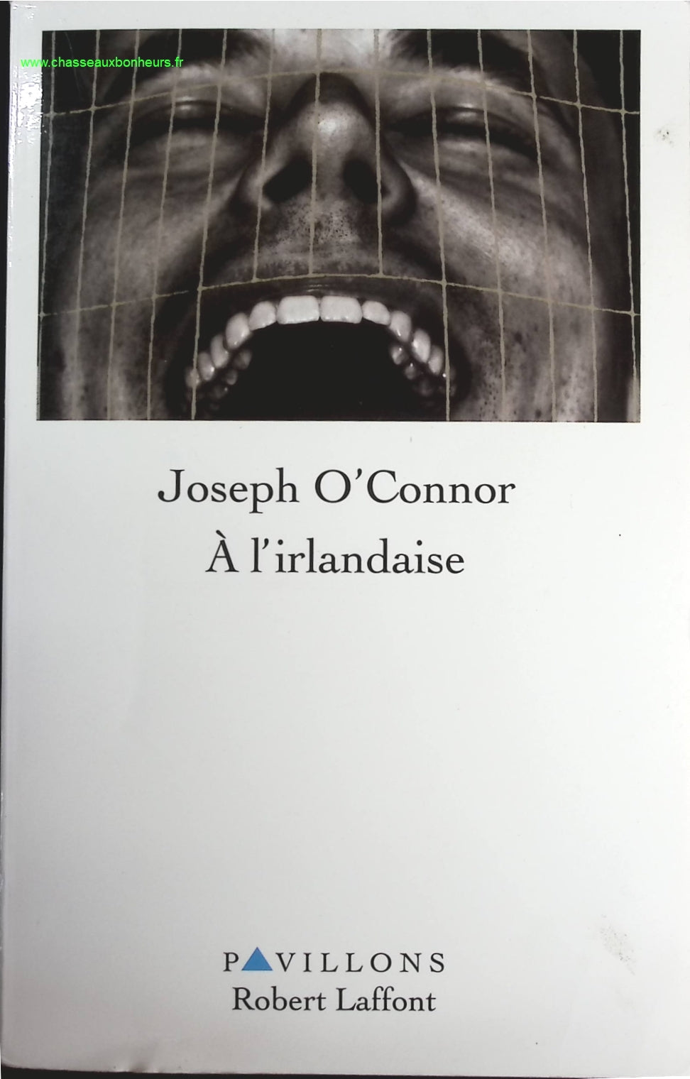 À l'irlandaise - Joseph O'Connor - livre