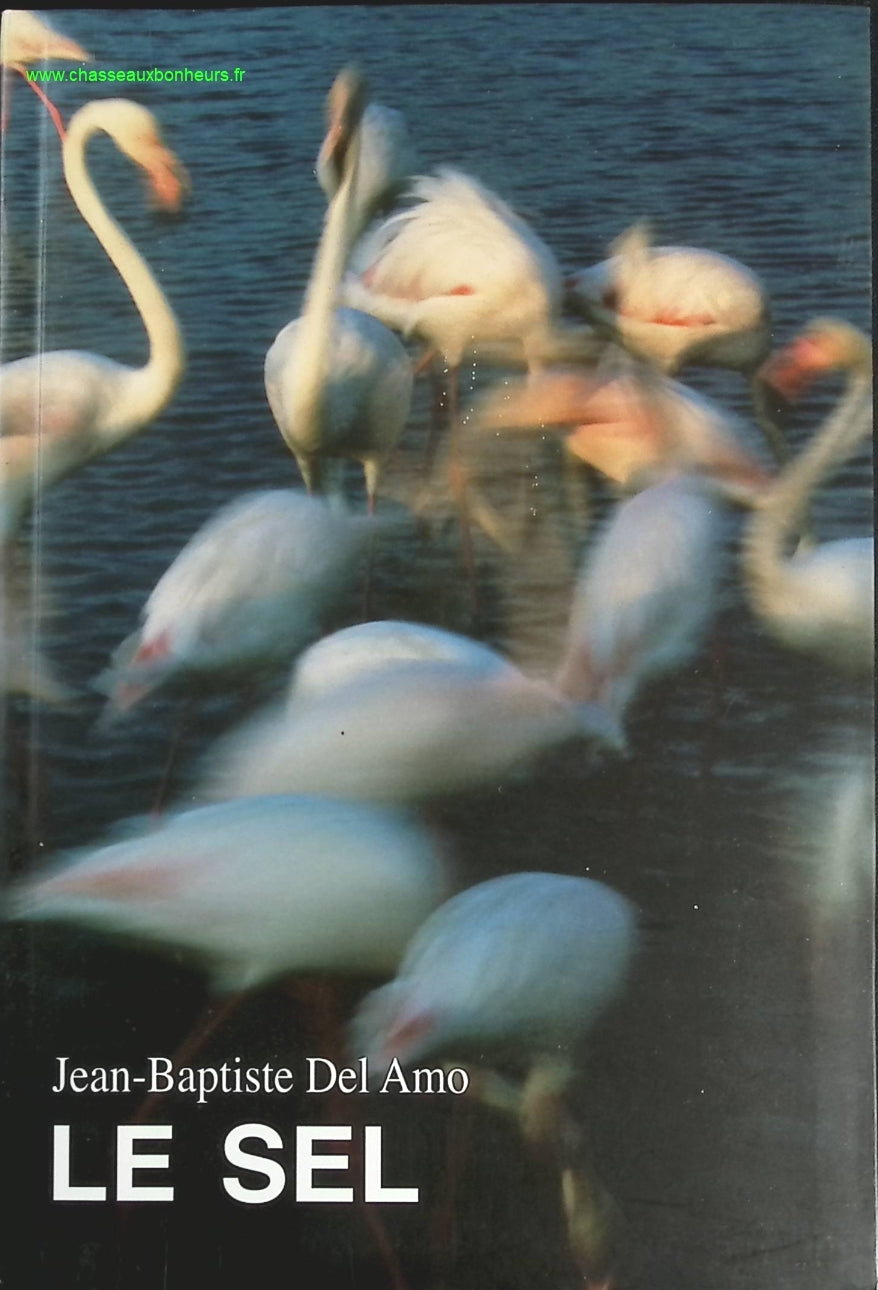 Le Sel - Jean Baptiste Del Amo - livre