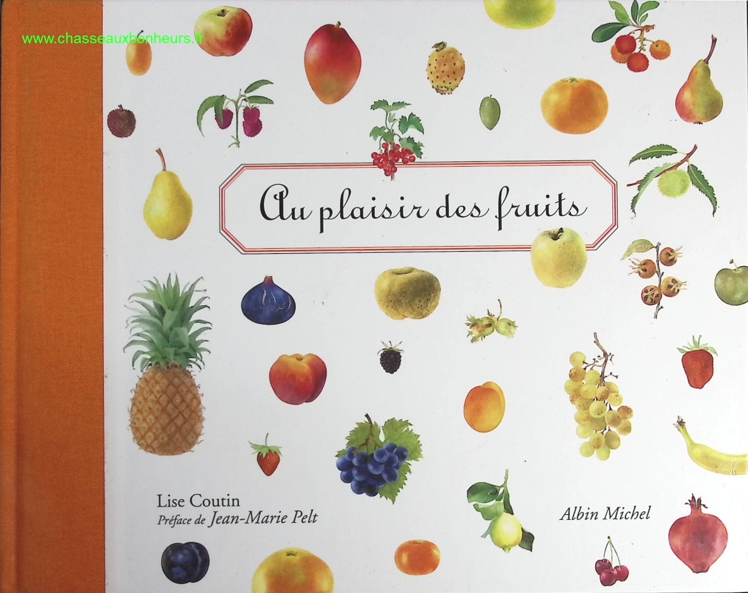 Au plaisir des fruits - Lise Coutin - livre