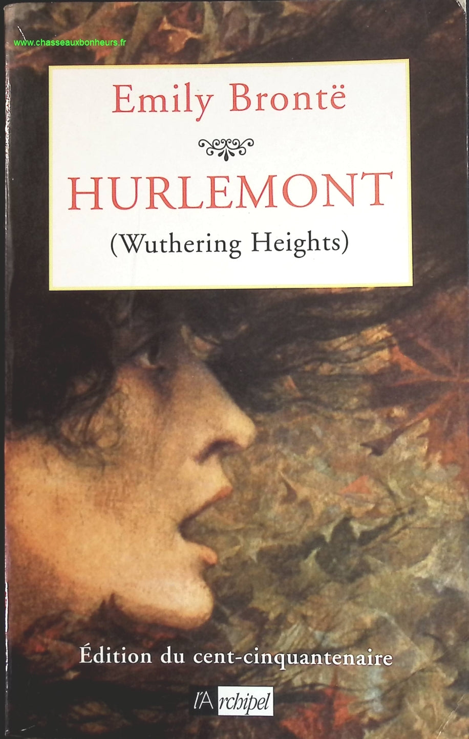 Hurlemont - Emily Brontë - livre