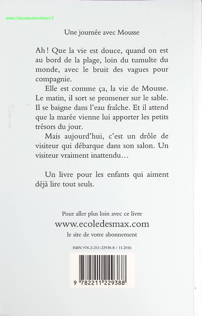 Une journée avec mousse - Claire Lebourg - livre