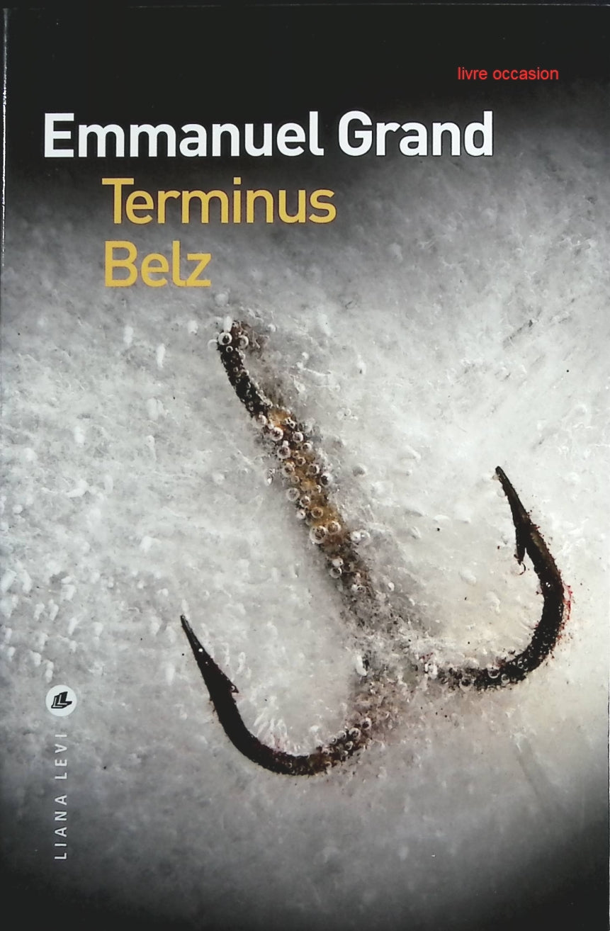 Terminus Belz - Emmanuel Grand - Livre