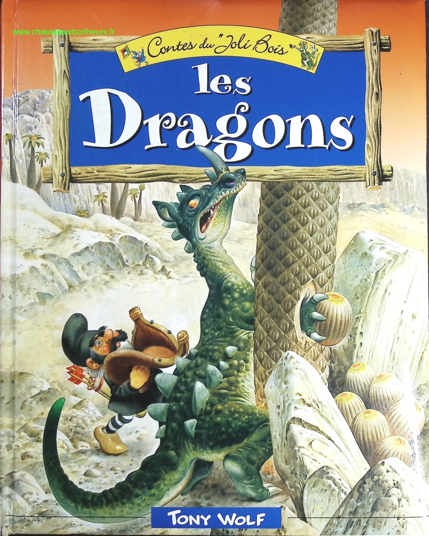 Les dragons - Tony Wolf - livre