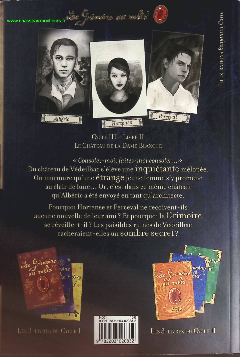 Le Château de la Dame Blanche - Béatrice Bottet - livre