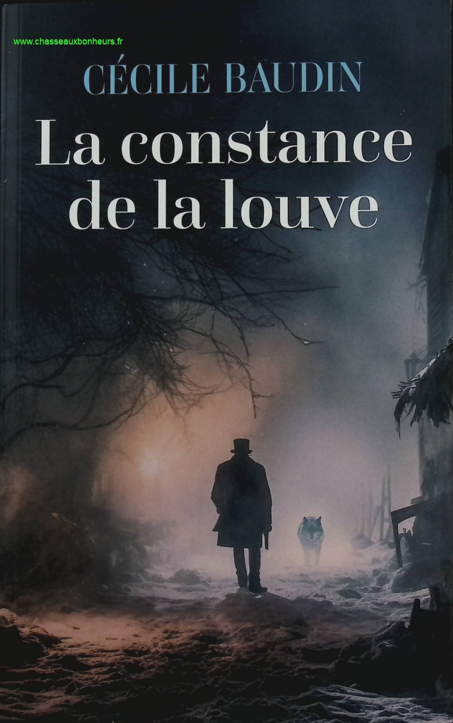 La constance de la louve - Cécile Baudin - livre