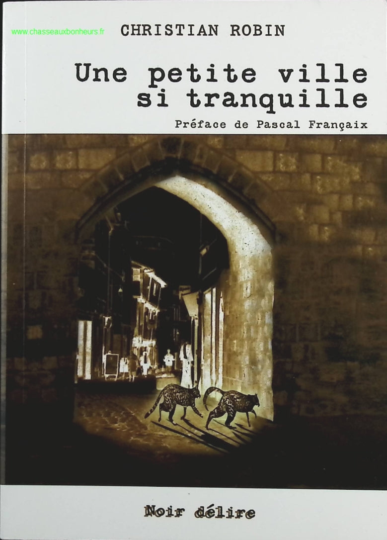 Une petite ville si tranquille - Christian Robin - Livre
