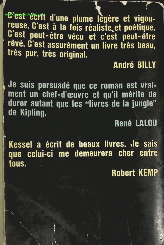 Le lion - Joseph Kessel - livre