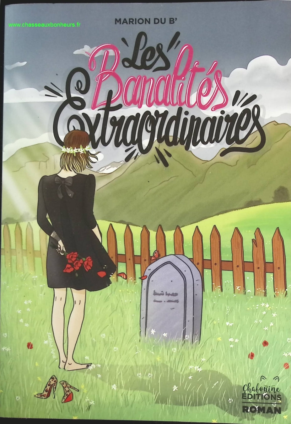 Les banalités extraordinaires - Marion du B' - livre