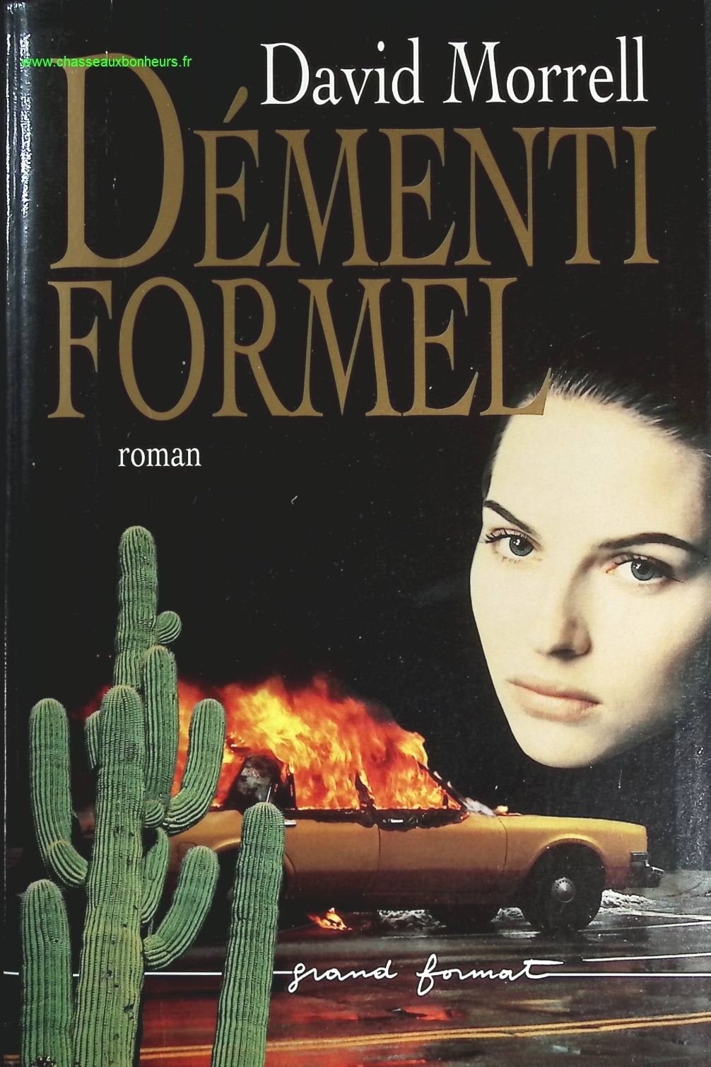 Démenti Formel - David Morrell - livre