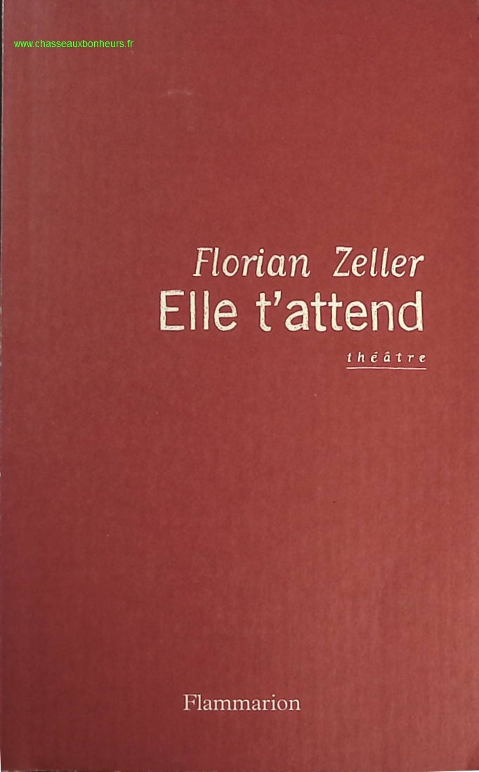 Elle t'attend - Florian Zeller - livre