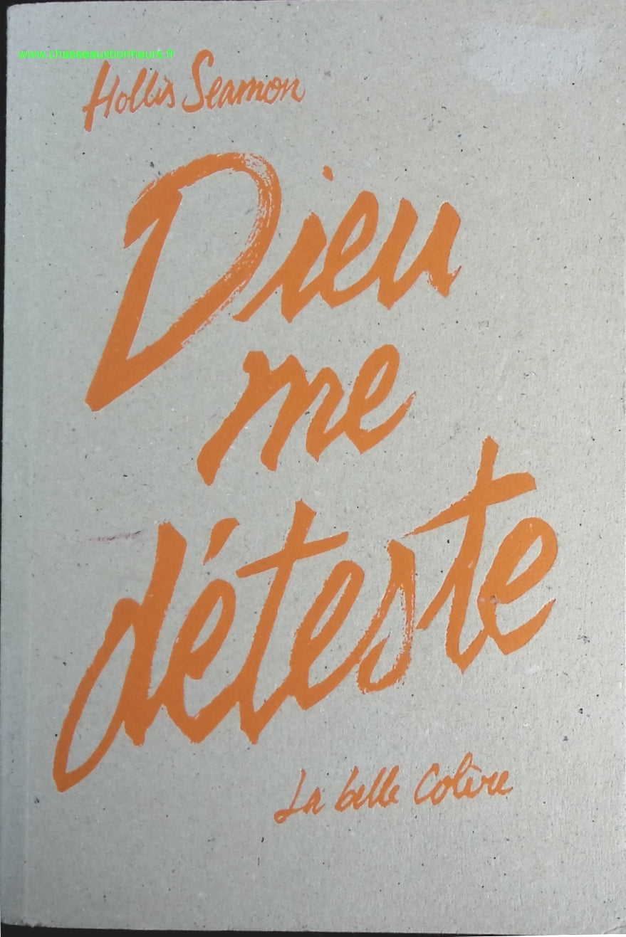 Dieu me déteste - Hollis Seamon - livre