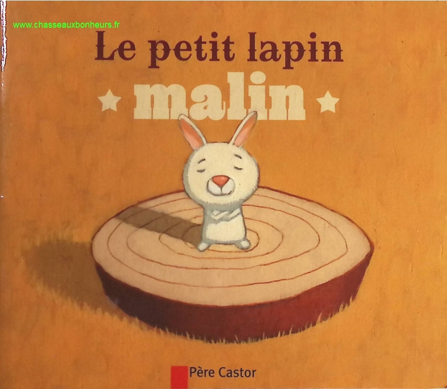 Le petit lapin malin - Vanessa Gautier, Robert Giraud - livre