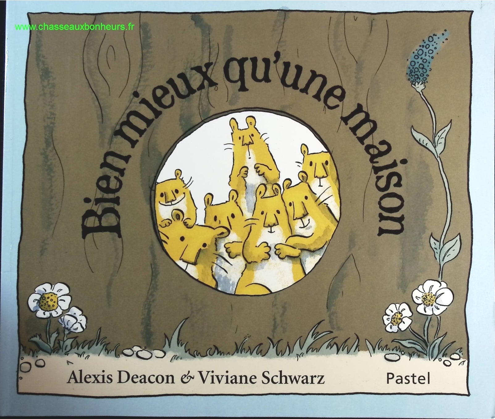 Bien mieux qu'une maison - Alexis Deacon Viviane Schwartz - livre