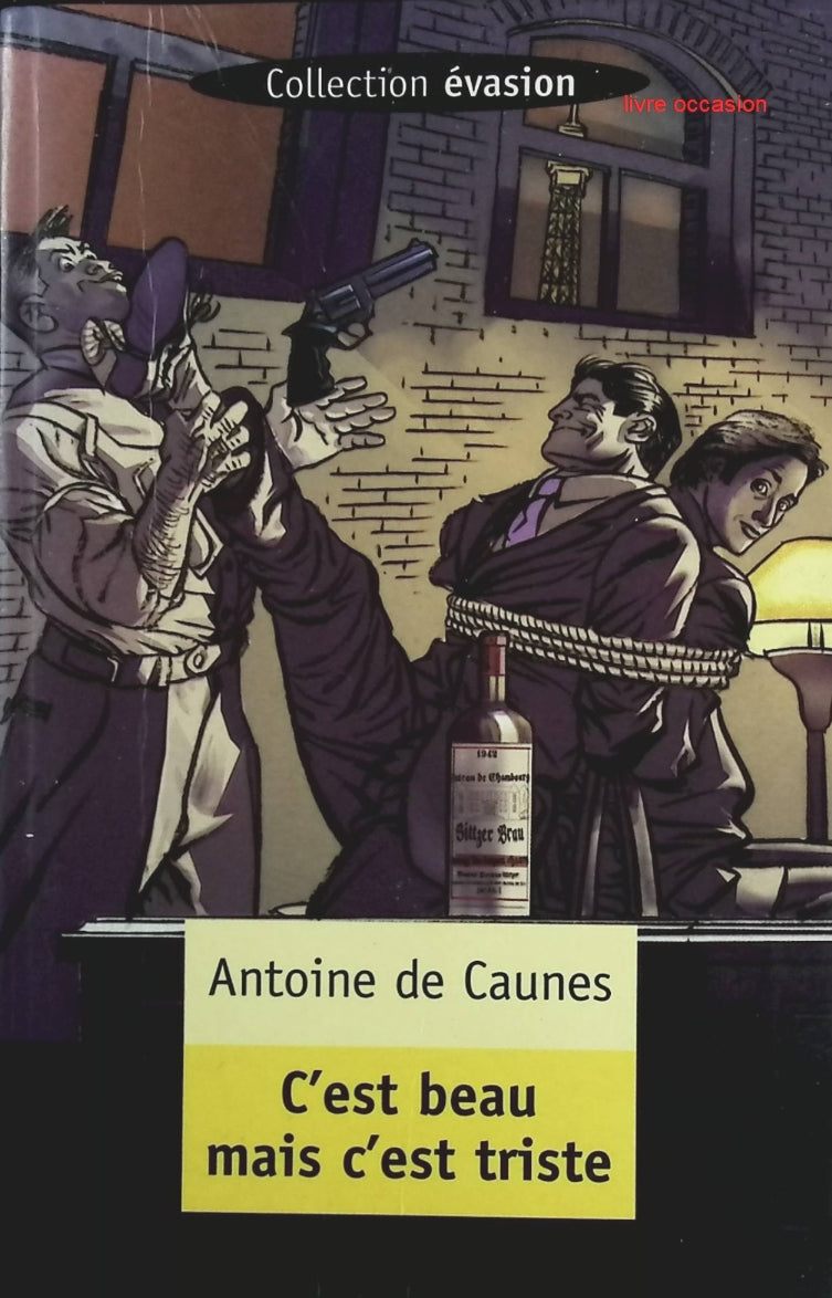 C'est beau mais c'est triste - Antoine de Caunes - Livre