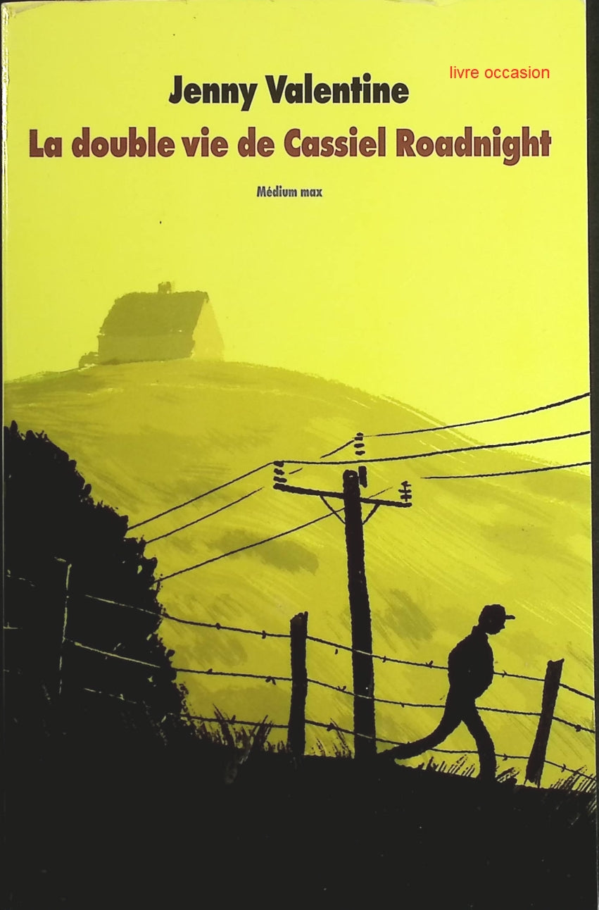 La double vie de cassiel roadnight - Jenny Valentine - Livre