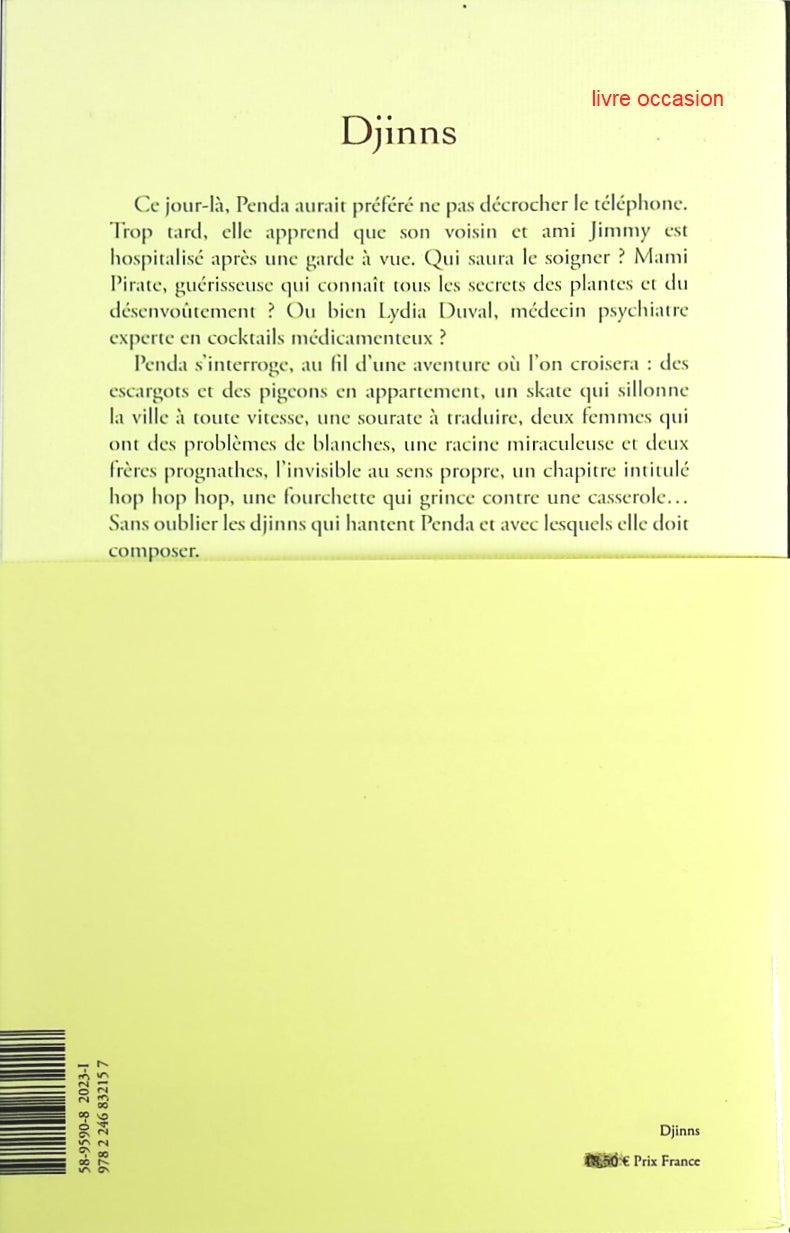 Djinns - Seynabou Sonko - Livre