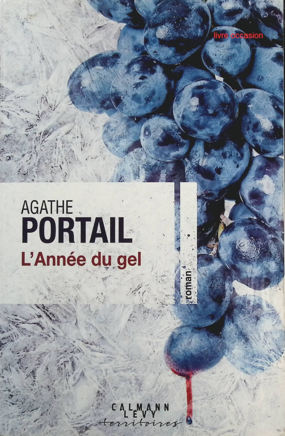 L'année du gel - Agathe Portail - Livre