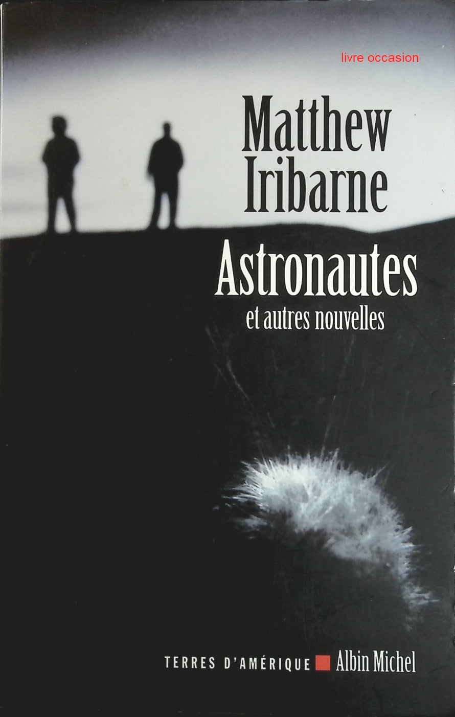 Astronautes et autres nouvelles - Matthew Iribarne - Livre